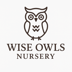 Wise Owls Nursery and Procure Education