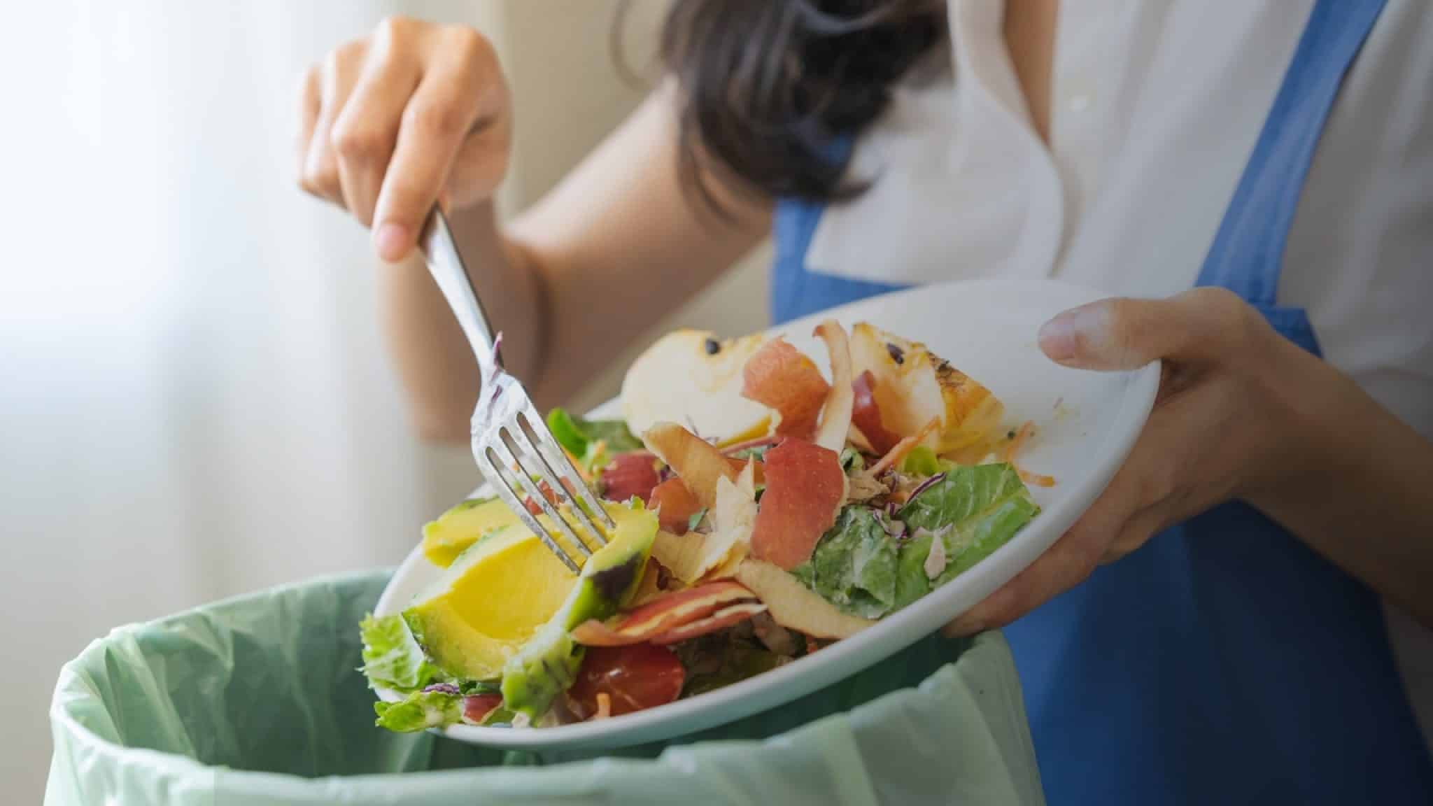How Schools Can Tackle Food Waste Under the New Workplace Recycling Rules
